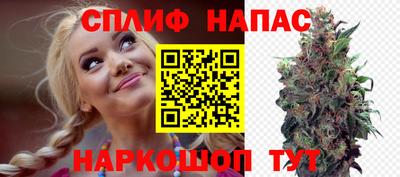 МДПВ Донецк