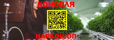 МДПВ Донецк