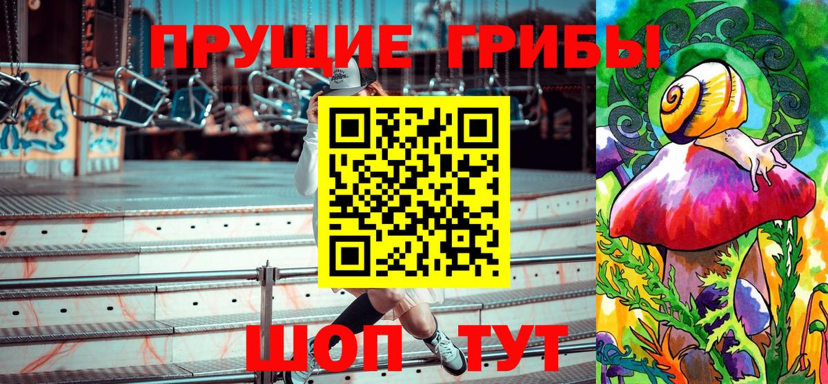 Псилоцибиновые грибы мухоморы Москва